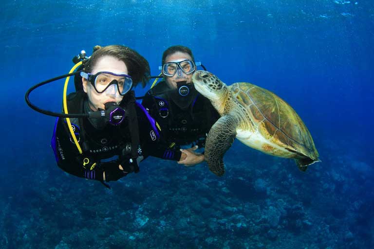 Best Scuba Diving in Palawan Let's Dive Palawan