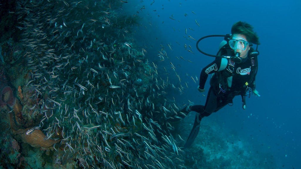 PADI Advanced Open Water Diver - Let's Dive Palawan